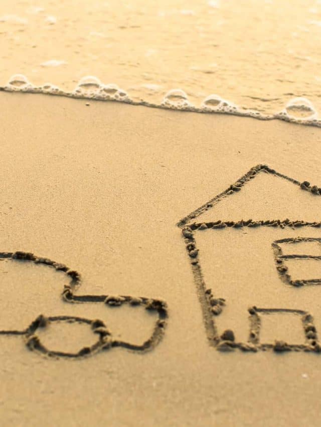 What are Assets? What are Liabilities? story