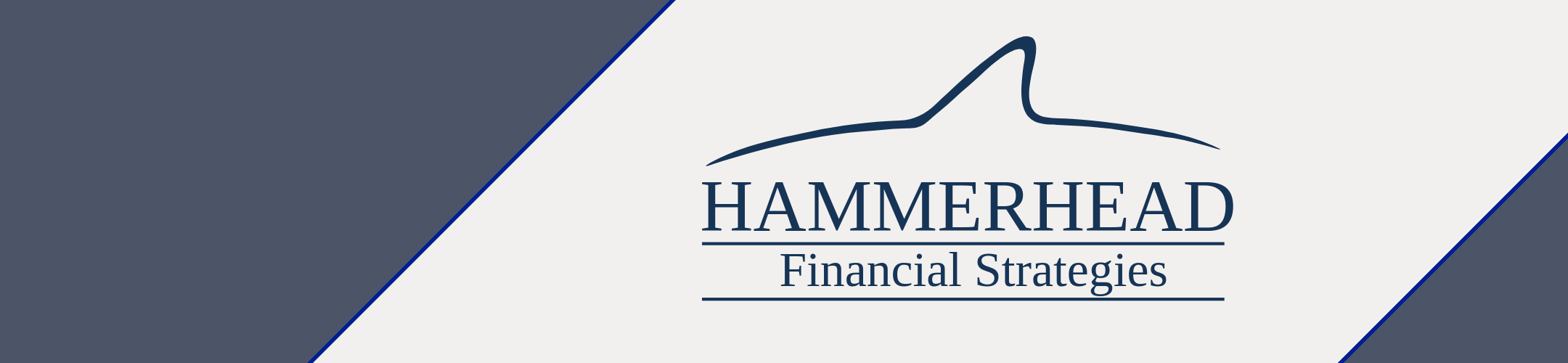 Logo for Hammerhead Financial Strategies, featuring a simple blue outline of a shark fin above the company name, with a clean, modern design and diagonal blue and white background sections.